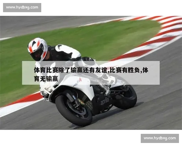 从数据角度深度解析体育赛事胜负趋势与关键因素